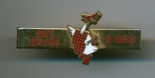 Granny Goose Staff Pin